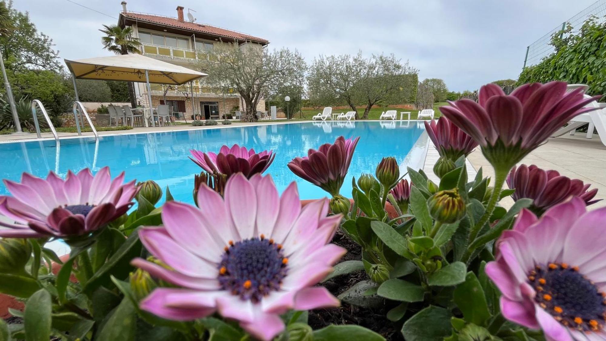 Bed and Breakfast Pansion Margerita Poreč Exterior foto